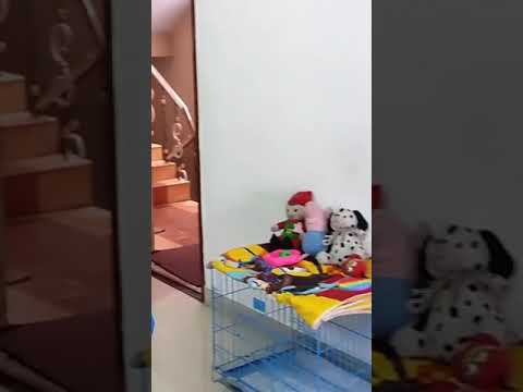 Bharathi kanamma Shooting Spot Vlog!!!