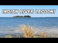 Indian River Lagoon Ecosystem Insights