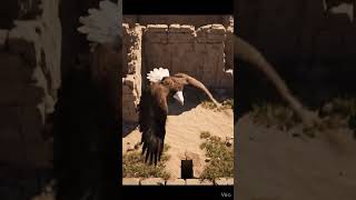 Eagle POV: This Was Hidden Under the Great Wal. #greatwallofchina #ancientmystery #pov #china