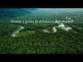 Amazon Rainforest Hydrology and Ecology