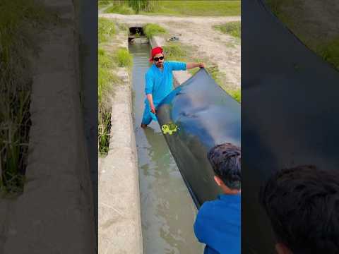 #fishing๐ฌ๐ณ๐ ๐ข #reverfish #catchingfish #viralvideo