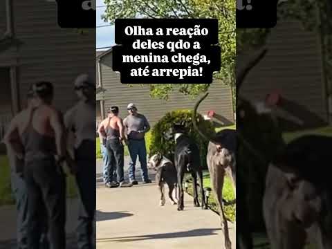 O SEGREDO DO PASTOR ALEMÃO COMO GUARDIÃO