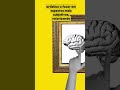 Movimento Expressionista na Arte