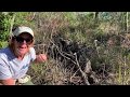 Apple Snail Ecology and Behavior