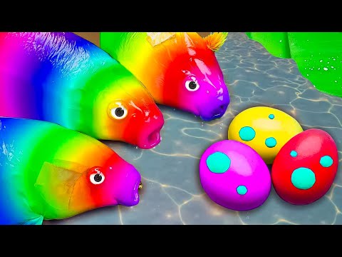 Koi Fish and Loach play Squid game with Crocodile - which animal will win? 💕 Stop Motion ASMR CoCo