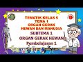 Kuis tentang Organ Gerak Hewan dan Manusia