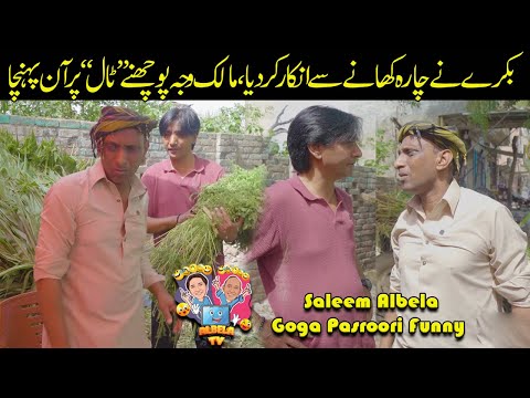 Bakra ka charra khanay say inkar Saleem Albela Goga Pasroori funny Video