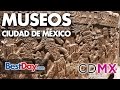 Explorando los Museos de la Ciudad de México