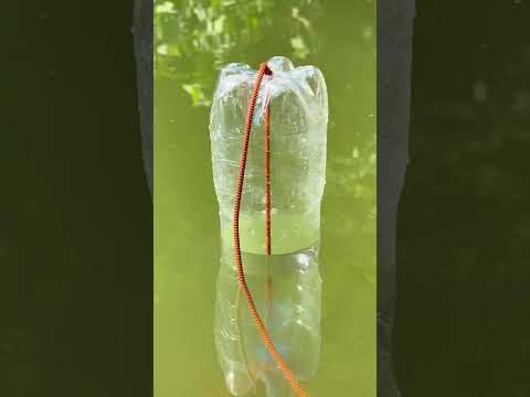 How to get Water from the River? #survival #camping #bushcraft #outdoors #lifehacks