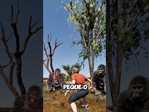 Qué hacer si caes en un recinto de gorilas 🦍😱