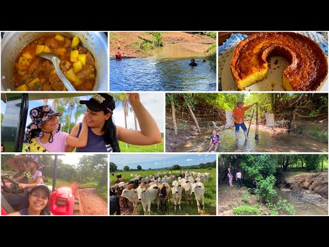 FOMOS ACOMPANHAR ELE NO SERVIÇO DA FAZENDA👩🏻‍🌾🤠TRATANDO DA BOIADA| FAZENDO CERCA DENTRO DO CÓRREGO