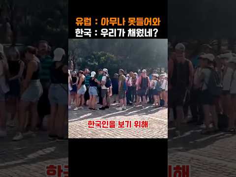 유럽 한복판 550년 빈자리 완성한 한국 조각 기술 레전드