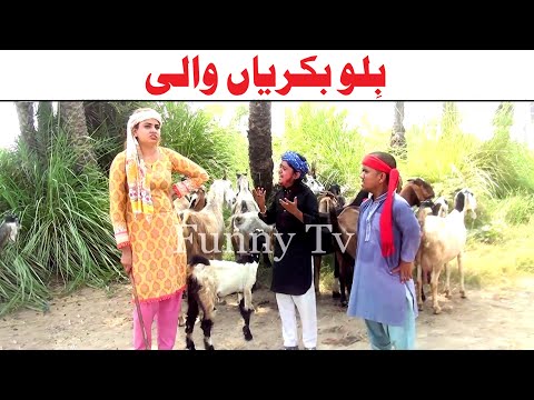 Funny Video Choto Moto Bilo Bakri Wali  Kirli New Funny Punjabi Comedy Video 2024 | Jhang Tv 2024