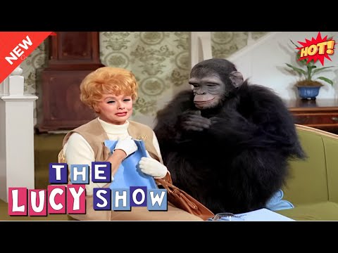 [𝙉𝙀𝙒] The Lucy Show 🌺🌷🌸 Lucy and the Monkey 🥝🍓🥑 BEST Comedy American Sitcom 2025