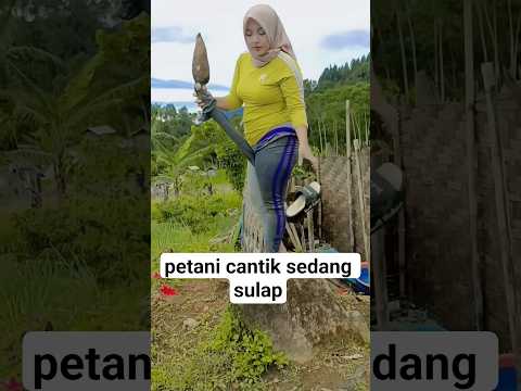 sketsa #bodorsundaterbaru #gemoylovers #bodorsunda