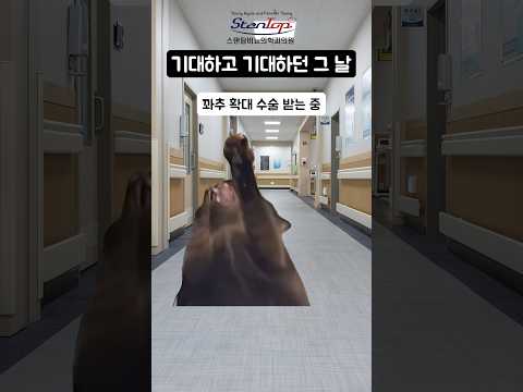 이렇게라도 널 만족시킬 수 있다면 난 괜찮아 #shorts