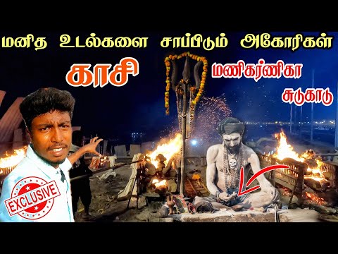 Varanasi Manikarnika Ghat Vlog in Tamil | Aghori life's Kashi | Manikarnika Masaan Banaras
