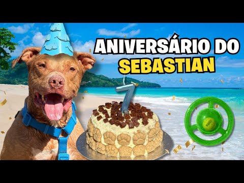 Aniversário De 7 Anos Do Sebastian | Fizemos Uma Viagem Surpresa Pra Ele   🥳