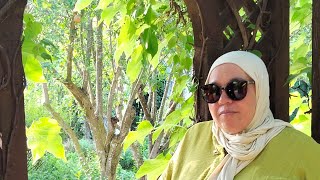 jardin d'essai Rabat