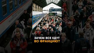 Зачем все едут во Францию? 🇫🇷