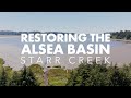 Estuary Ecosystem and Restoration Concepts