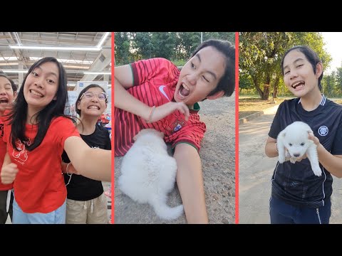 Too Cute‼️ Most Funny😆🥰  | JJaiPan Shorts Compilation #shorts