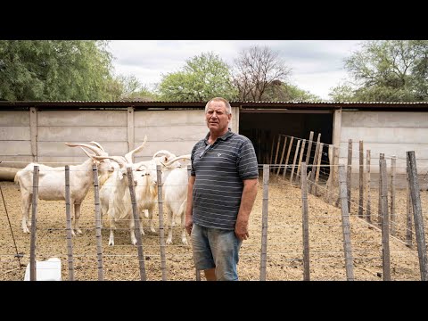 CERRÓ SU EMPRESA METALÚRGICA QUE EXPORTABA AL MUNDO PARA VIVIR RELAJADO EN EL CAMPO | Villa Larca