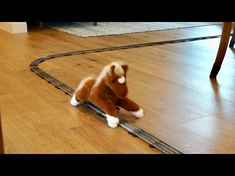 When ur horse is train