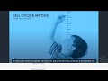 Cell Cycle and Mitosis Concepts