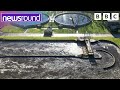 Understanding Sewage Management in England