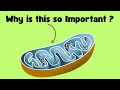 Understanding Mitochondria and ATP
