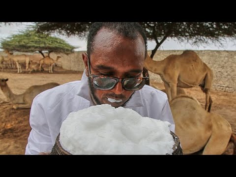 YouTube video thumbnail: Camels at the Heart of Somalia’s Agricultural Transformation