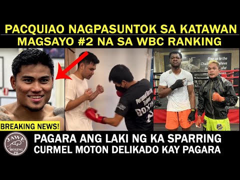 Michael Pacquiao Nagpasuntok Sa Katawan,Magsayo  #2 Rank Na Sa WBC, Pagara  Ang Laki Ng Ka Sparring