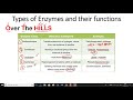 Enzyme Functions and Classifications