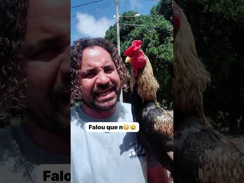 ELE FALANDO QUE N VAI TRABALHAR #shortvideo #comedia