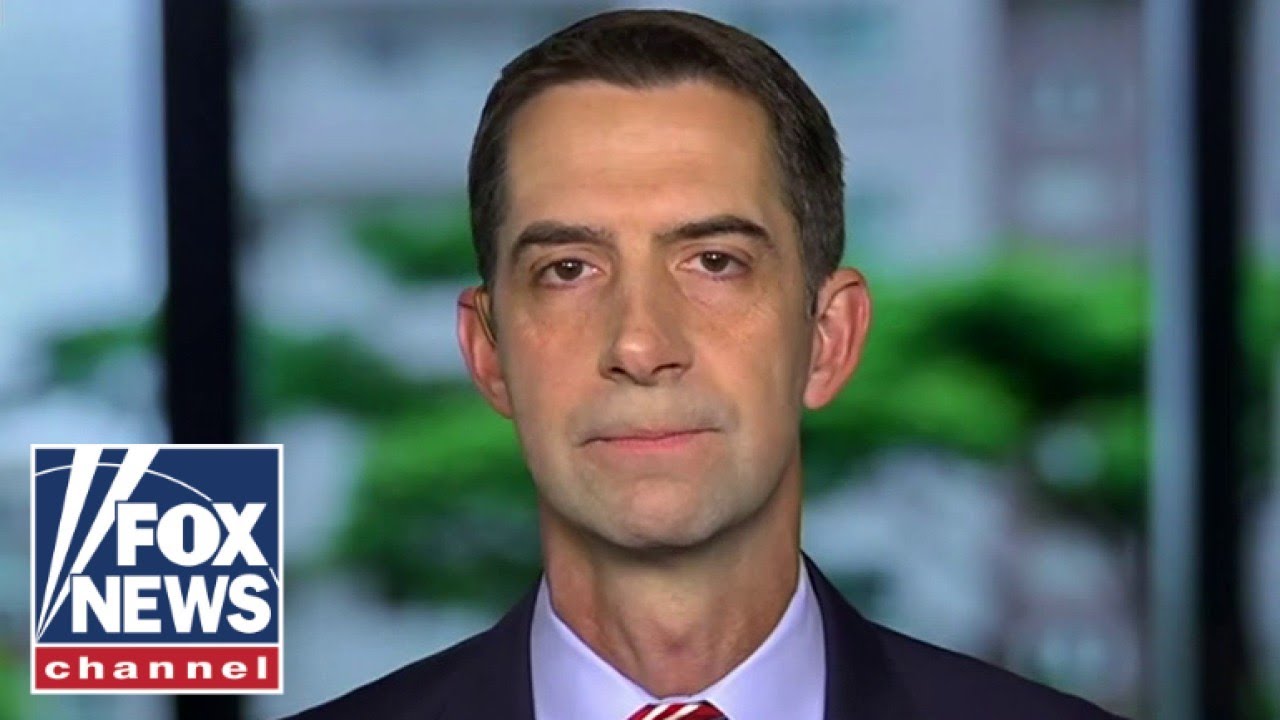 Cotton: We need election results on Election Night