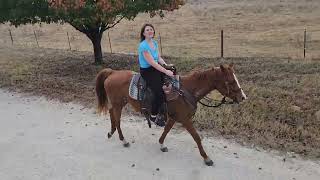 3rd Anniversary Horseback Riding
