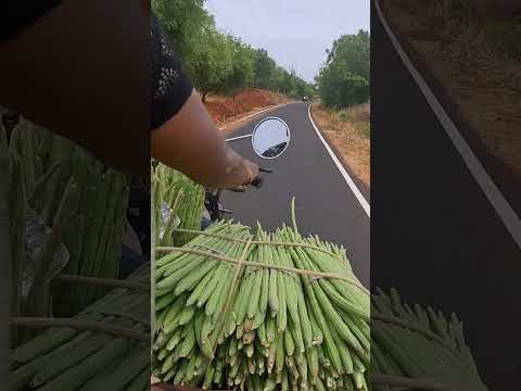 நான் போறேன் முன்னாடி நீ வாடி பின்னாடி முருங்கைக்காய் கொண்டுகிட்டு சந்தைக்கு 🥰#murungaiarasiofficial