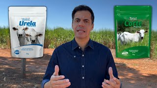 Ureia vs Virginiamicina: Qual o melhor dentro da propriedade? Descubra agora!
