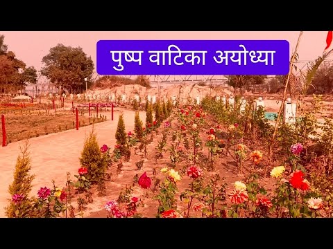 पुष्प वाटिका अयोध्या | Pushpa vatika ayodhya | Pushpa vatika | Chaudhary Charan Singh Ghaat ❤️🔱