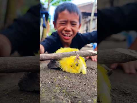 Tears finally streamed down as I saw this little yellow chick had passed away forever #chickensong