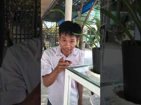 Lại Bảo Không Cười Đi 😂😂😂