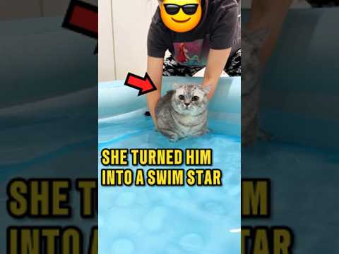 This Cat Became a Pro Swimmer! 😂❤️