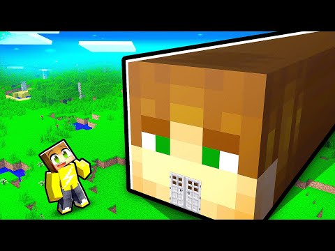 Mijn Huis Mega Lang Maken In Minecraft (Survival)