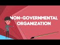 Understanding Non-Governmental Organizations