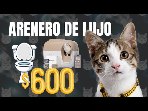 Arenero para gatos MI FAVORITO!