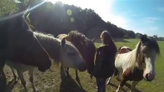 Septembersonne