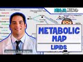Metabolic Processes and Lipid Functions