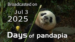 20250703 Broadcast Top Highlights 05