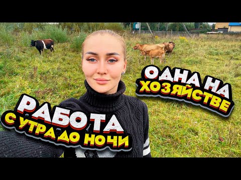 Мои Сутки в Деревне! 24 часа за 35 минут! | Молодая Ферма